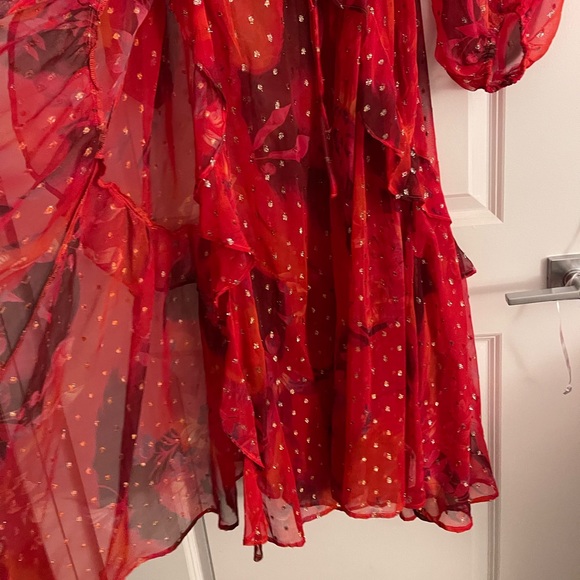 NWT ANTHROPOLOGIE gorgeous dress ! - Picture 7 of 10